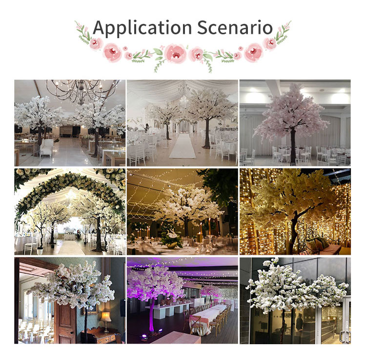 product-1-1 product-1-1