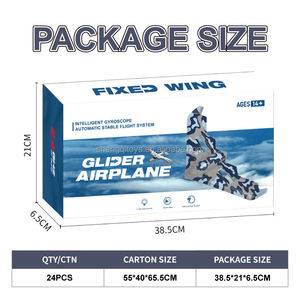 Giocattoli LK TY9 aereo ad ala fissa modello 100m remoto 8min elicottero da gioco 2.4g carino da lancio terra decollare aereo giocattolo per bambini aliante - Product Image 6