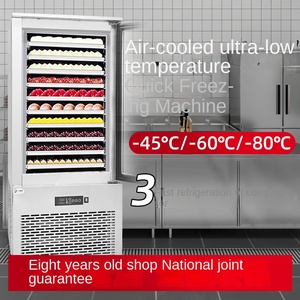 Commercial Stainless Steel Upright Air-Cooled Frost-Free -80 Degree Quick-Freezer Single-Temperature Refrigerator A12FCSD80 Sing - Product Image 3