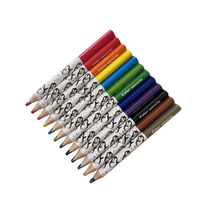 Ensemble de crayons de couleur personnalisés certifiés EN71 ISO ASTM-F963, 12 couleurs, pingouin mignon, plastique triangulaire, 3,5 pouces, directement de l'usine