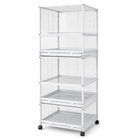 Vente en gros directe d'usine, matériaux bruts personnalisés OEM de qualité supérieure, robustes et durables pour perroquets et petits oiseaux, cage à oiseaux en vente