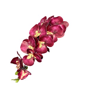 Fleur artificielle en soie Phalaenopsis 3D à 9 têtes Jinxi pour mariage, décoration intérieure, accessoires de photographie - Product Image 5
