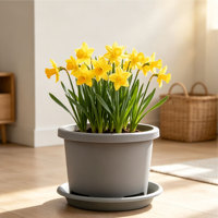 Pots de plantes en plastique PP durables en gros, avec trous de drainage, design respirant, capacité de 1,99 L, style moderne minimaliste, intérieur/extérieur