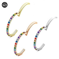 YW 1.2mm ASTM F136 titane arc-en-ciel couleur Zircon pavé charnière Segment Clicker titane nez Piercing