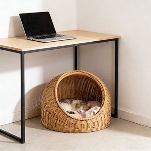 Cama <span class=keywords><strong>de</strong></span> Lujo Moderna <span class=keywords><strong>de</strong></span> Mimbre para Gatos, Casa <span class=keywords><strong>de</strong></span> Ratán para Mascotas, Cesta Acogedora para Dormir con Cojín, Muebles Hechos a Mano para Mascotas - Product Image 1