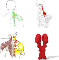 Dispositif de traction cervicale EVA PU Oreiller de massage du cou Épaule Relaxer Cou Civière Oreiller Retour Point de déclenchement Masseur