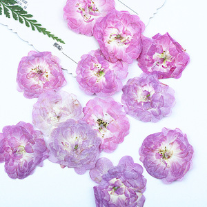 DIY本物の押し花ライトピンクパープルローズ、ナチュラルモーブローズの花、キャンドル作り、石鹸の埋め込み、エポキシ樹脂工芸装飾用 - Product Image 2