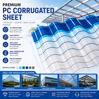 Fabricante de Láminas Corrugadas de Policarbonato, Lámina Corrugada de PC, Lámina de Techo de Policarbonato, Panel de Techo Corrugado OEM