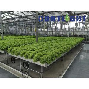 4 ft x 8 ft Chất lượng cao cán băng ghế dự bị lớn thép nhựa nhà kính hydroponics Grow Rack cho nông nghiệp phụ kiện chiếu sáng
