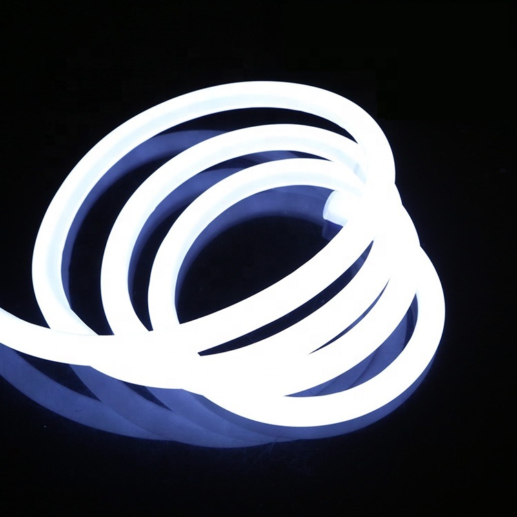 12V PVC Material Landscape LED Neon Lights IP66 Rating Art Deco Style Custom Designs Easy Installation 2-Year Warranty Dimmable