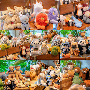 Juguete de peluche transformable mágico Reversible de doble cara bordado Panda mapache oso relleno de PP suave regalo de cumpleaños para niños - Product Image 4