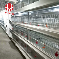 Cage à poulets de chair de type H, cage à poulets de chair à 3 niveaux avec plancher en plastique, système d'évacuation automatique du fumier, abreuvoir à tétine, élevage avicole haute densité