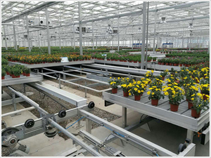 <span class=keywords><strong>Table</strong></span> de culture hydroponique à flux et reflux commercial, lit de semis à flux et reflux, irrigation à flux et reflux, banc roulant à flux et reflux pour serre - Product Image 4