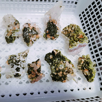 Spécimen minéral d'épidote naturelle, épidote brute et amas de cristaux clairs, amas de quartz du jardin du Sichuan pour la décoration
