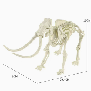 Modelo de Esqueleto de Dinosaurio para Armar, Manualidad DIY para Niños, Esqueleto de Tiranosaurio Rex de Plástico, Múltiples Estilos Disponibles para Niños - Product Image 3