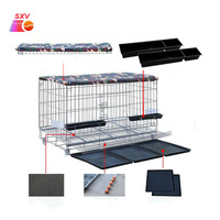 Système d'élevage de volailles à prix abordable Cage pour poules pondeuses pour poulets de chair et bébés poussins poulailler