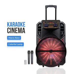 Professional Stage Pair big Pa Speakers Outdoor Good Sound Karaoke 15 inch Portable Trolley Bluetooth Speaker With 2 Microphone