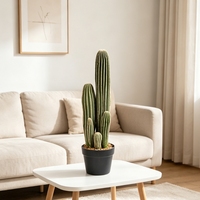 Plante artificielle de cactus de qualité supérieure, la plus vendue, en pot, 58 cm, pour la décoration de la maison, du bureau ou de la salle d'exposition, plante du désert, cactus artificiel