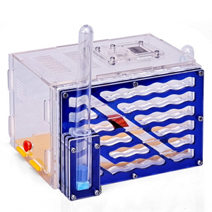 Formicaio Moderno Classico Fai-da-te in ABS, Legno e Acrilico con Area di Alimentazione, Cucina Esterna <span class=keywords><strong>per</strong></span> <span class=keywords><strong>Formiche</strong></span> - Vari Modelli - Product Image 2