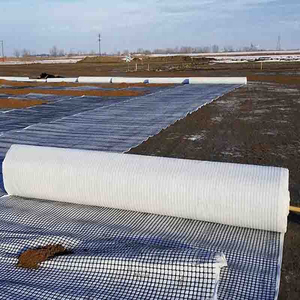 แผ่น Geogrids พลาสติก Geotextiles คอมโพสิตสำหรับการก่อสร้างถนน - Product Image 2