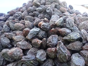 Xi Mei Frutas de ciruela secas Todo <span class=keywords><strong>Prunus</strong></span> Domestica Bayas deshidratadas para alimentos - Product Image 3