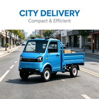 Auto Eléctrico 2026 de Doble Puerta y Doble Asiento, con Batería de Litio Ternaria, Camioneta Eléctrica de Cuatro Ruedas, Mini Pickup