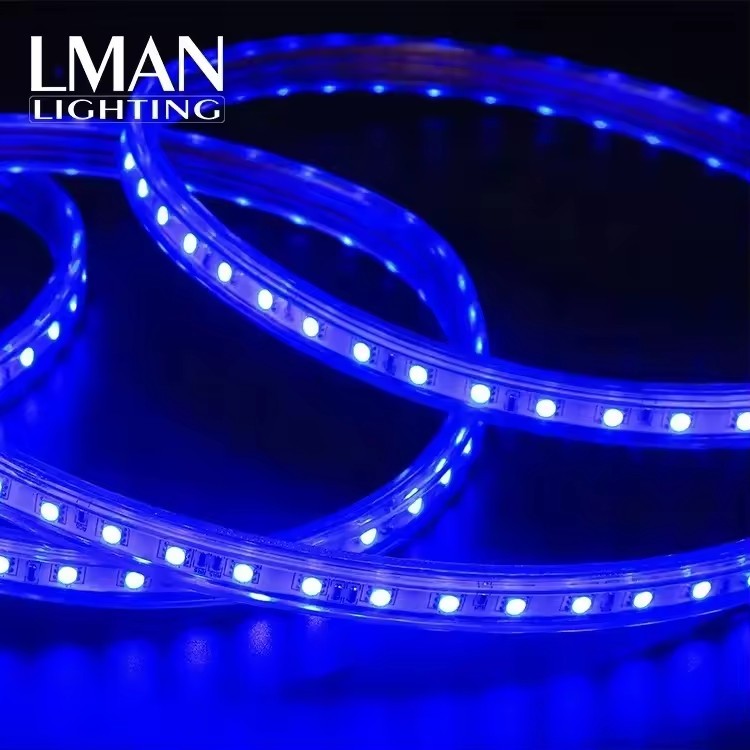 Super Bright Outdoor Landscape Lighting RGB LED Rope Light SMD5050 60LEDS/M 12W/M RGB LED Light Strip