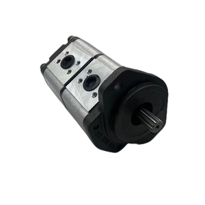 Bomba Hidráulica Nueva OEM Serie AZPGG AZPFF AZPF AZPN AZPG AZPNF AZPNN AZPFF-11-008/004RAB0101 de Alta Presión y Engranajes Externos - Product Image 5