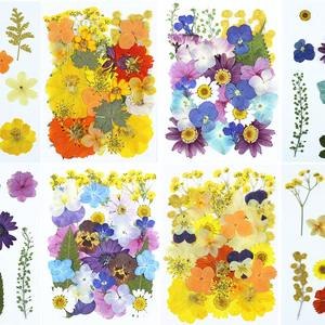 18-30 Pièces <span class=keywords><strong>de</strong></span> Fleurs Séchées Naturelles Pressées pour Bijoux en Résine Époxy, Moules, Fabrication <span class=keywords><strong>de</strong></span> Bougies et Savons, Décoration d'Ongles, Marque-pages - Product Image 1