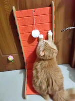 Nouvelle Arrivée : Griffoir Vertical en L Écologique pour Chat, en Feutre, Sans Débris, Jouet de Chasse pour Chat, Griffes Résistantes à l'Usure