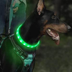 Factory Direct Sale LED blinkendes Haustier halsband Glühendes Hunde halsband Zum nächtlichen Gehen mit einem Hund - Product Image 3
