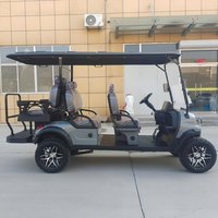 Voiturette de golf électrique 6 places, buggy de golf de haute qualité, moteur et batterie personnalisés