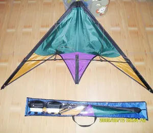 Günstige customized dual line deltaflügel kite