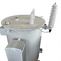 Oferta Especial: Transformador de Distribución Monofásico de 75 kVA, 10 kV, 60 Hz, con Aceite, 100% Cobre, S11/13, para Montaje en Poste