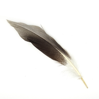 Professionelle Entenflankenfedern zum Fliegenbinden, natürliche Wildentenfedern für Trockenfliegenflügel und -schwänze, Material für Forellenfischen