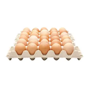 Organic Fresh Chicken Table Eggs & Fertilized Hatching Eggs USA origin / Fresh Chicken Table Eggs