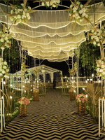 Rideaux décoratifs à suspendre, décoration extérieure LED avec éclairage suspendu au plafond, décoration de mariage, rideaux de fête