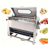 Automatische zachte borstel gedroogde dadelpalm wasmachine gember aardappel fruit polijst- en reinigingsmachine