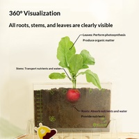 Kit Scientifique de Visualisation des Racines pour Enfants, Cadeau Éducatif STEM pour Enfants de 6 ans et plus, Kit d'Observation de l'Humidité du Sol, Jouets d'Anniversaire