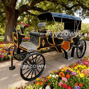 Vintage Royal Victorian Tourism Sightseeing Royal Horse Carriage Luxury Royal Horse Carriage Cart Electric <b>Princess</b> Wedding - Product Image 6
