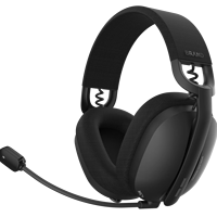 Casque de jeu professionnel personnalisable, léger (185 g), avec haut-parleur de 40 mm et microphone, pour PC, téléphone et PS4