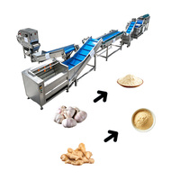 Ligne de traitement de la poudre d'ail et de la poudre de gingembre, machine de lavage et de broyage d'ail et de curcuma, prix
