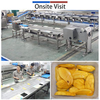 Motorisch aangedreven mango-pitter sorteertafel & snijmachine met 304 roestvrijstalen op maat gemaakte mango-verwerkingslijn
