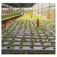 Système de culture hydroponique vertical NFT, petits tuyaux en PVC de qualité alimentaire, installation facile, kits pour serres agricoles
