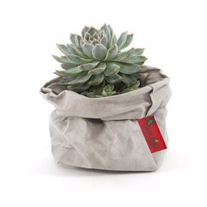 Mini bolsa de papel Kraft lavable de alta calidad, macetas de flores y plantas, multifunción, para almacenamiento en el hogar, reutilizable - Product Image 3