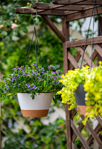 Venta directa <span class=keywords><strong>de</strong></span> fábrica Anthony <span class=keywords><strong>colgante</strong></span> interior cesta suspendida <span class=keywords><strong>maceta</strong></span> <span class=keywords><strong>de</strong></span> plástico - Product Image 6