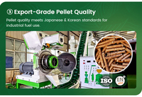 RICHI Usine de granulés de bois Certifié CE ATEX Conception personnalisée Biomasse Coquille de noix de coco EFB Moulins à granulés de bois à vendre Indonésie