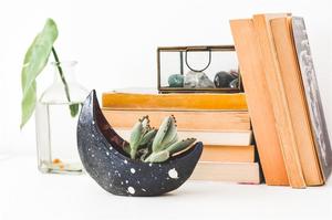 Fioriera creativa a forma di luna <span class=keywords><strong>vaso</strong></span> per <span class=keywords><strong>piante</strong></span> in ceramica <span class=keywords><strong>vaso</strong></span> per Cactus succulente in ceramica <span class=keywords><strong>vaso</strong></span> per fiori utilizzato <span class=keywords><strong>con</strong></span> fiore/pianta verde - Product Image 6
