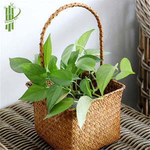 Handwoven Seagrass Storage Basket with Handle Woven Organizer <b>Bin</b> for Kitchen Living Room Home Decor - Product Image 1