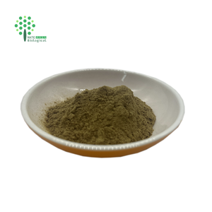 Poudre d'extrait de feuille d'olivier 10% acide maslinique HPLC - Product Image 1